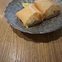 NOGI - 