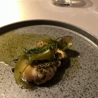 タケル クインディチ(LOQUAT) 西伊豆 - 