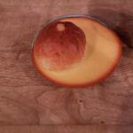 フォンティーヌ - 