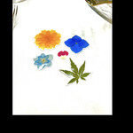 ラ・ロマネ 朝霞 - 記念にいただきました〜　捜していた四葉のクローバーを頂いた気分です　　byまみこまみこ