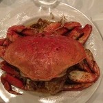 CRUSTACEAN - 