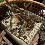 べにや無何有 - 富山産の若鮎の炭火焼き