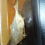 若松屋旅館 - ネリゴ（カンパチの子）の煮付け