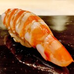 鮨 こう介 - 20250828車海老