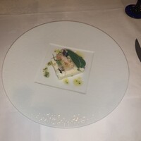 THE KOBECRUISE コンチェルト - 