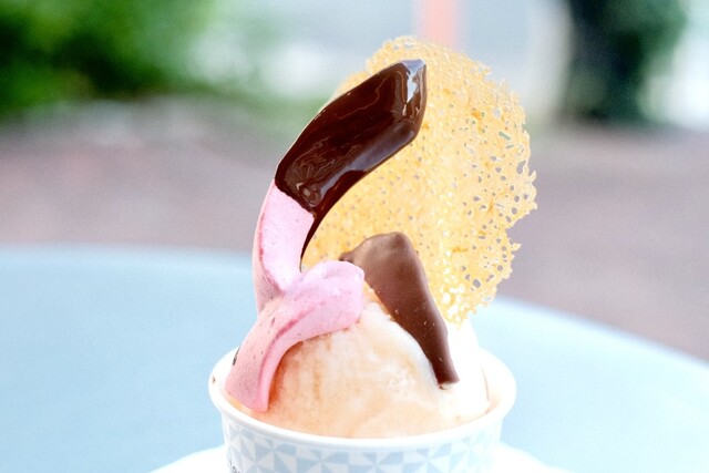 アテスウェイ グラスエショコラ （a tes souhaits! glace et chocolat