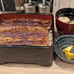 うなぎの串と小皿料理 はや川 - うな重特上（1尾）