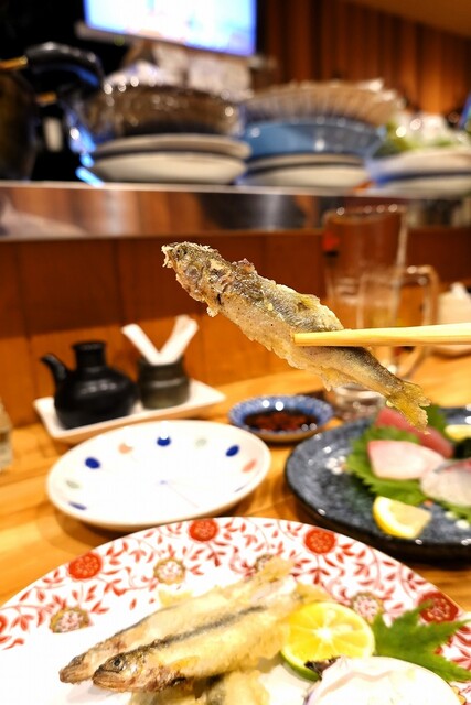 Sake to Sakana Tarorin photo 3