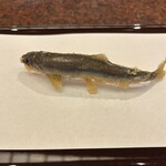 京都祇園 天ぷら八坂圓堂 - 