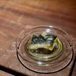 ぽつらぽつら - 