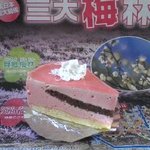 Matsudaseika - 0９年春限定、紅の舞ロール。酸っぱいスイーツ。