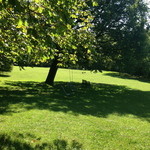 Domaine de la Tortiniere - 