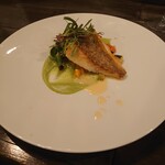 Pino - 