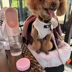 クッチーナ デル カンポ - シェリ①