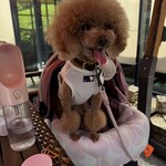 クッチーナ デル カンポ - シェリ②