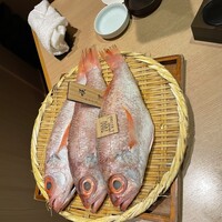 のど黒屋 新橋店 - 