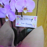 プルジャ ダイニング - rumbaさんから