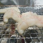 活アナゴ～Mの字。食べ頃！