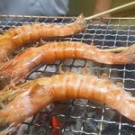 牧野 - 食べ頃だぁ