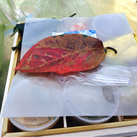 懐石 鷺風 - 秋ですね！スプーンやお手拭き付き