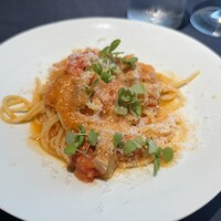 セルサルサーレ - 