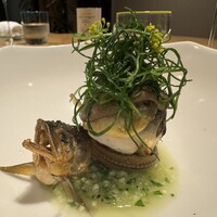 NeMo - 