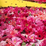 リゾナーレ八ヶ岳 - 