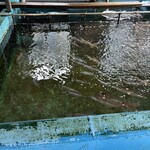 お魚処 玄海 - 玄海生簀