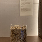 IRTHレストラン - 