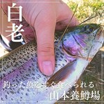山本養鱒場 - 