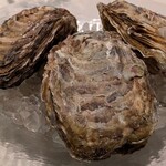 エルミタージュ ドゥ タムラ - 