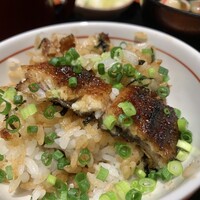 炭焼うな富士 名駅店 - 薬味のわさびとネギ