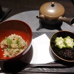 VERT - 天然きのこ