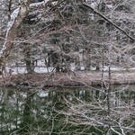 Japanese cuisine  Karatsu