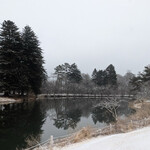 Japanese cuisine  Karatsu