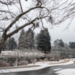 Japanese cuisine  Karatsu