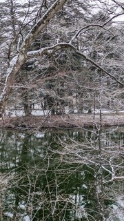Japanese cuisine  Karatsu