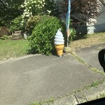 お月さまのたね - 