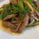 風龍苑 - 肉たっぷり