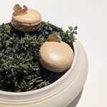 ラ・ヴァガボンド - 