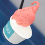 Gelateria Spica - 料理写真:ダブル。丹那のヨーグルト、紅ほっぺソルベ。