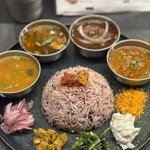 Curry Spice Gelateria KALPASI - 4種のカレー