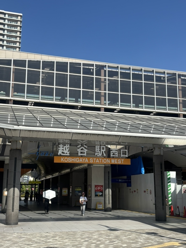 写真 : ガーヤちゃんの蔵屋敷 - 越谷/その他 | 食べログ