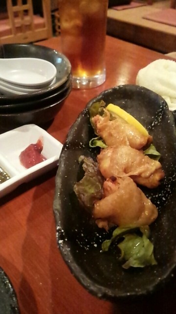 Jidori Tori Mutei photo 3