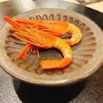 心一 - 昆布森産北海シマエビ