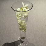 茶禅華 - フレッシュジャスミンティー