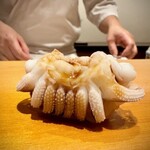 鮨 はしもと - 2025.8.  新烏賊の下足