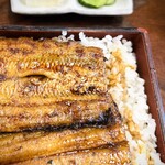 橋本食堂 - そんなに近くで見られると照れる