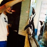 ペンギンのいるBAR 池袋 - ペンギンに餌やり！