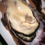 スパイラル - 大ぶりの生牡蠣